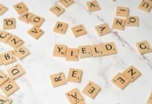 understanding dividend stock investments