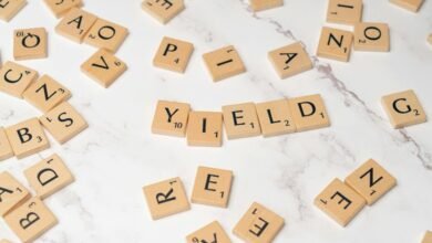 understanding dividend stock investments