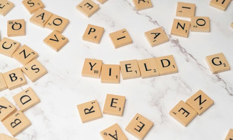 understanding dividend stock investments