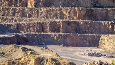 industry landscape analysis report