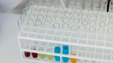 next level solutions offered here