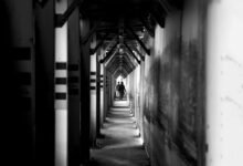 rapid vision authority framework