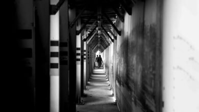 rapid vision authority framework