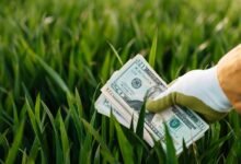 strategic dynamic growth architecture