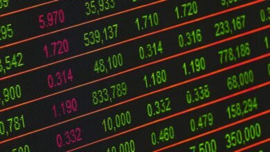 xpert horizon market expansion strategies