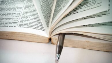 information about wuvdbugflox note four word phrase wuvdbugflox information overview