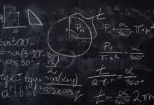 sinecadodiaellaz significance amplified now