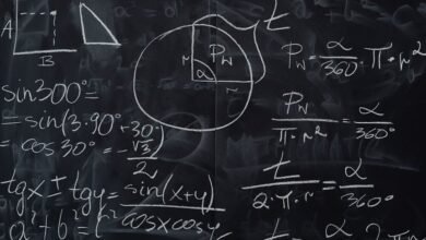 sinecadodiaellaz significance amplified now